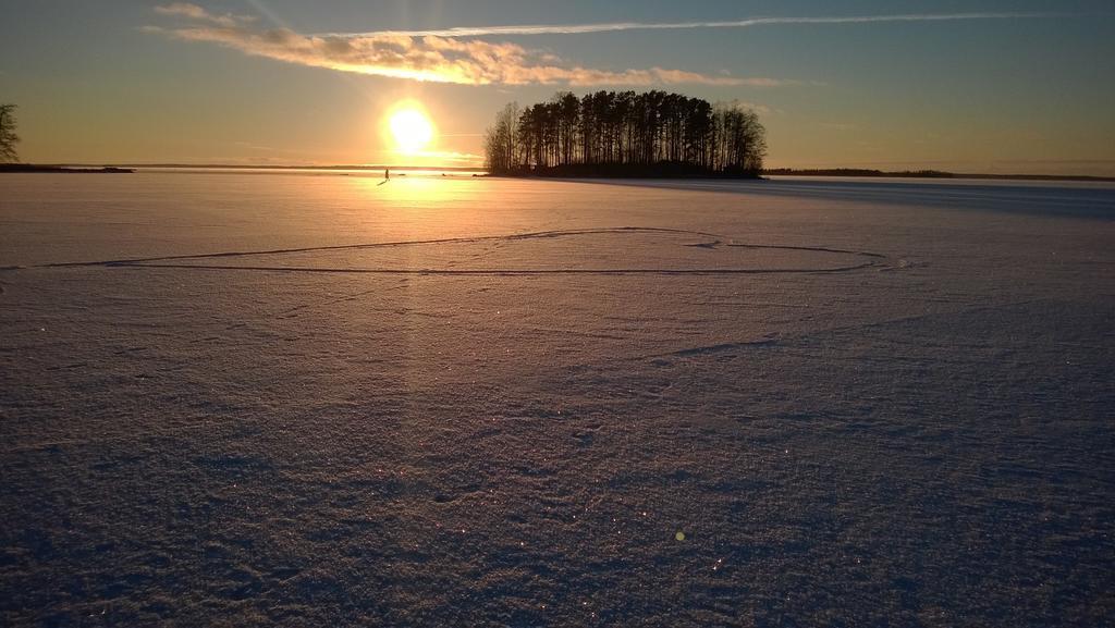 Koivuniemi Cottage Säkylä エクステリア 写真