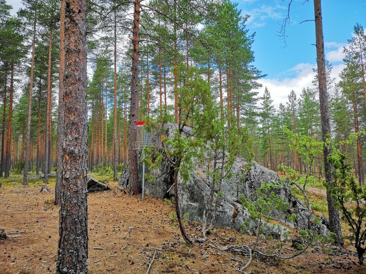 Koivuniemi Cottage Säkylä エクステリア 写真