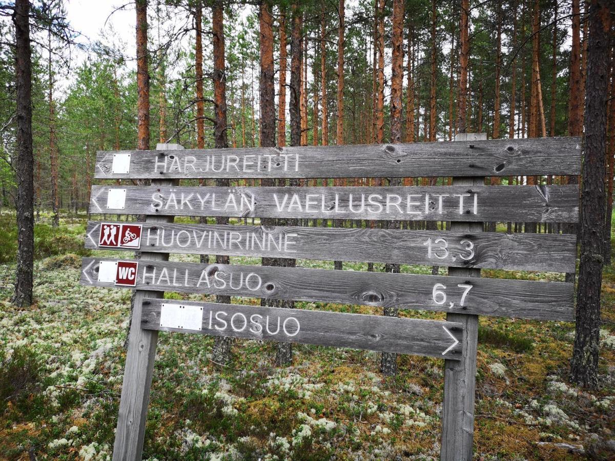 Koivuniemi Cottage Säkylä エクステリア 写真
