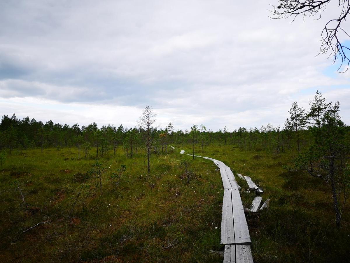 Koivuniemi Cottage Säkylä エクステリア 写真
