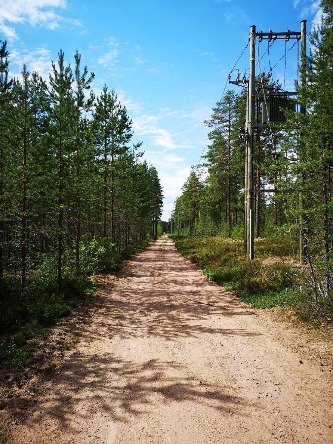 Koivuniemi Cottage Säkylä エクステリア 写真